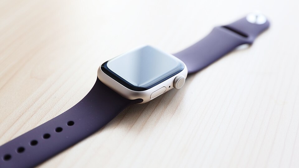 Apple SE