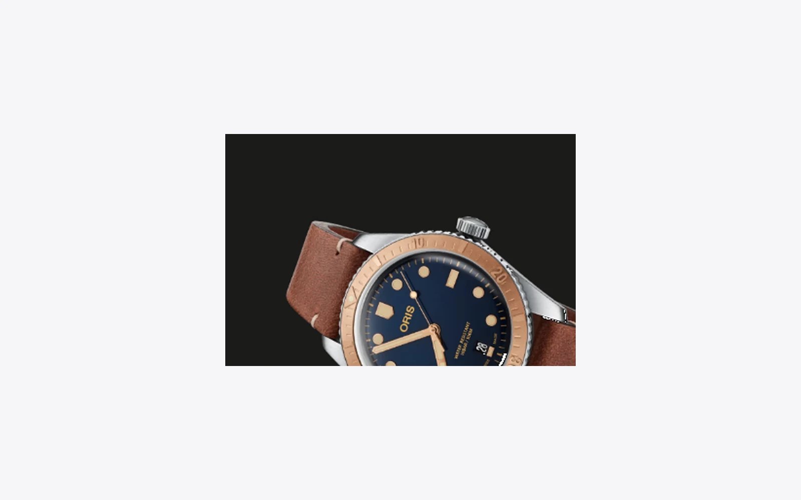 Oris Divers